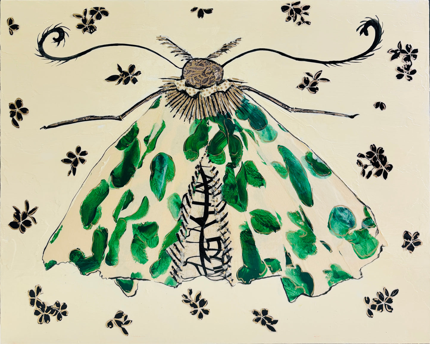 Dotted Moth