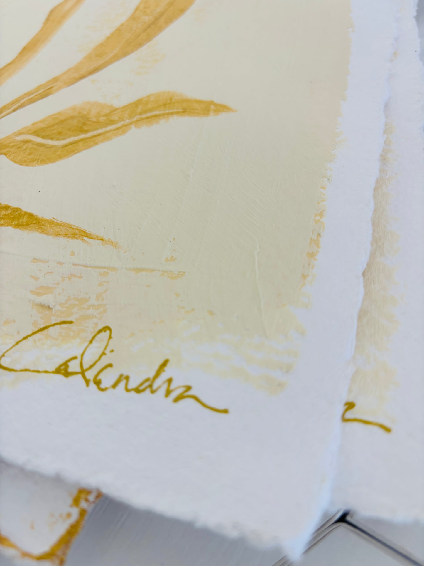 Study on Cream II