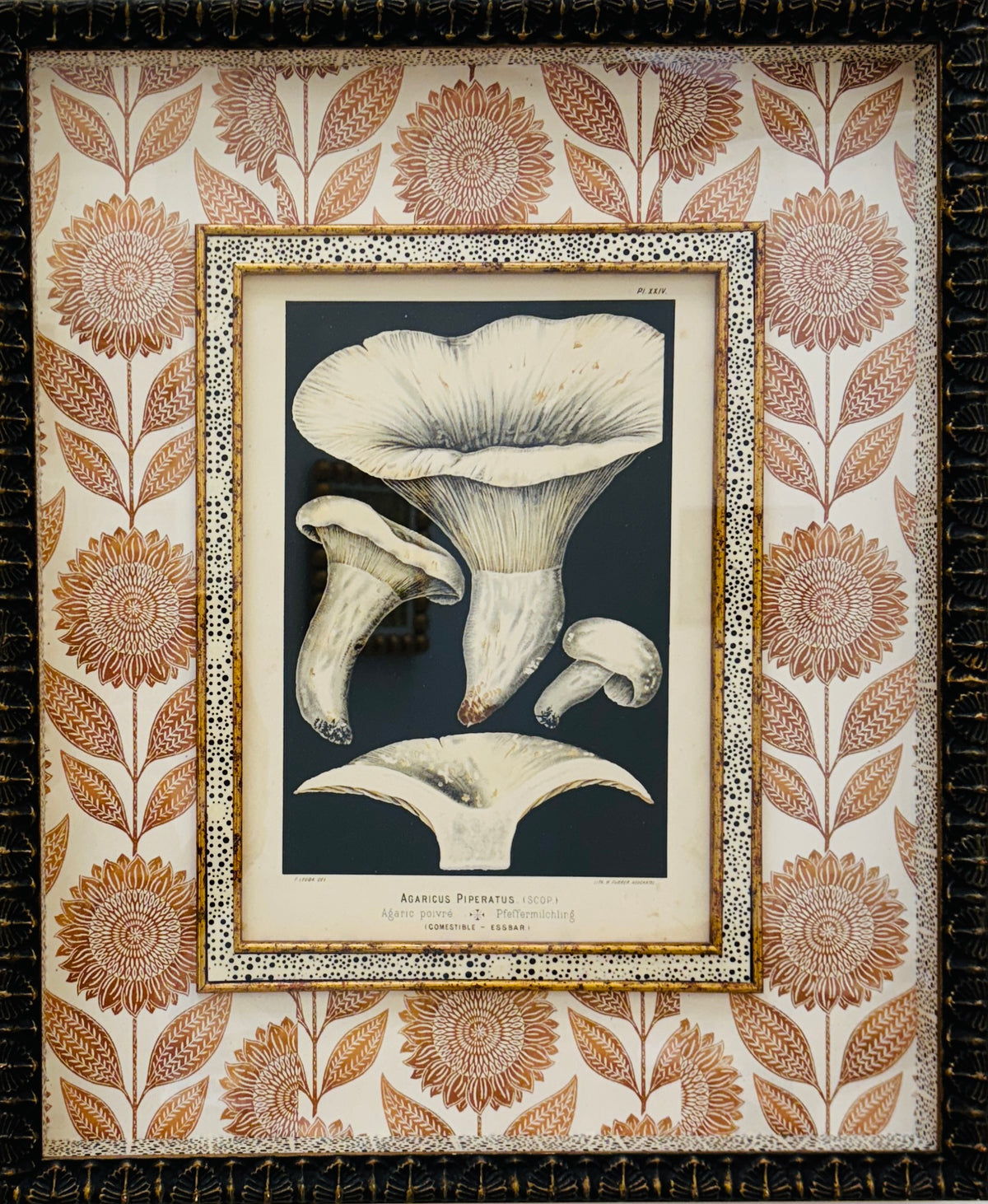 French Mushroom Lithograph