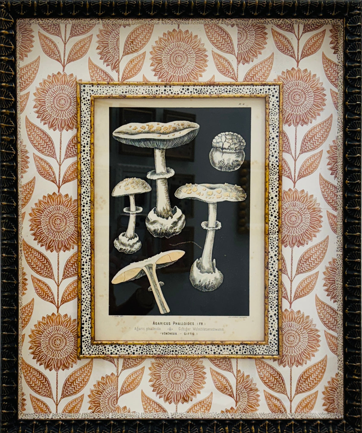 French Mushroom Lithograph