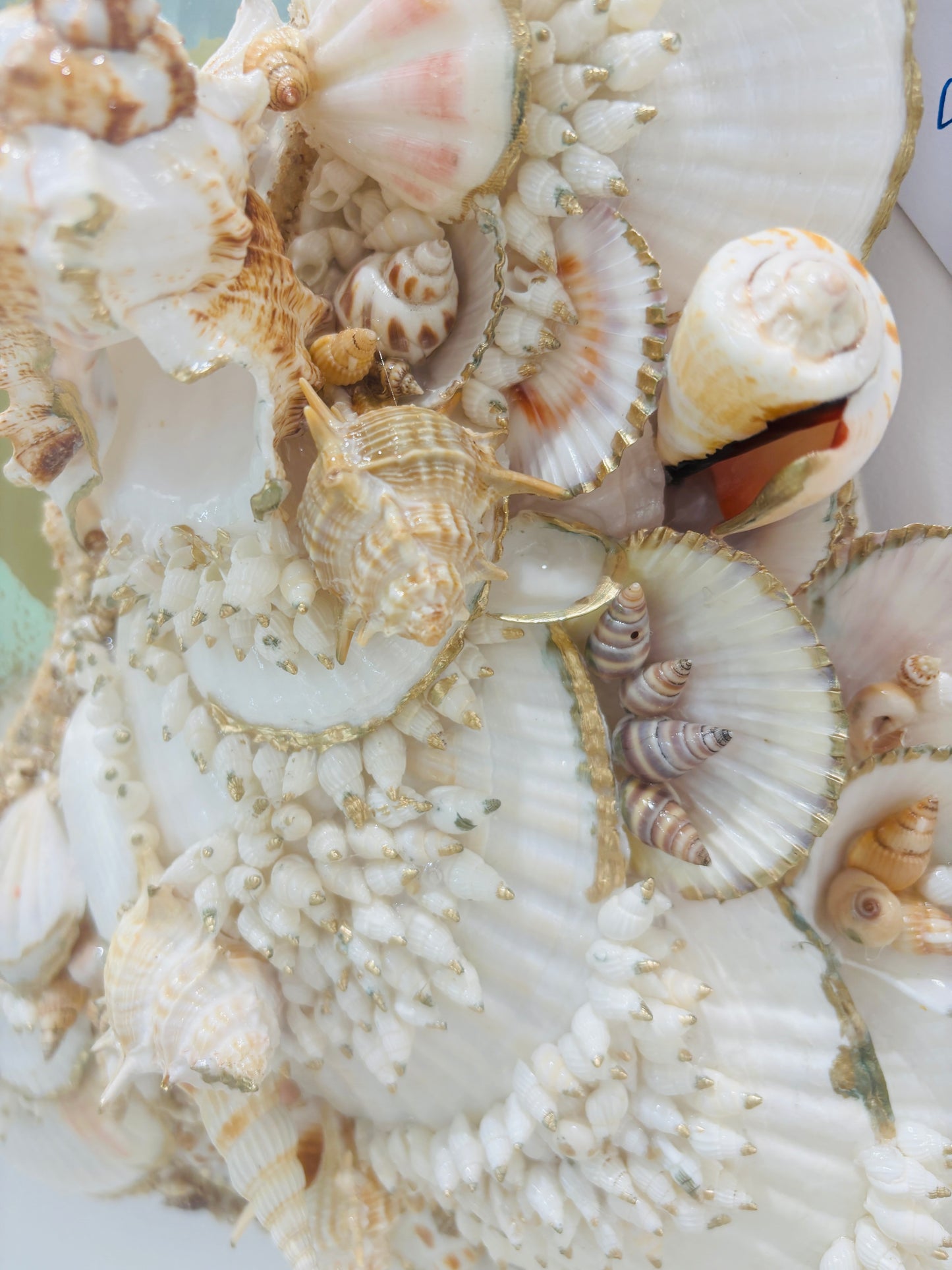 Shell Mirror