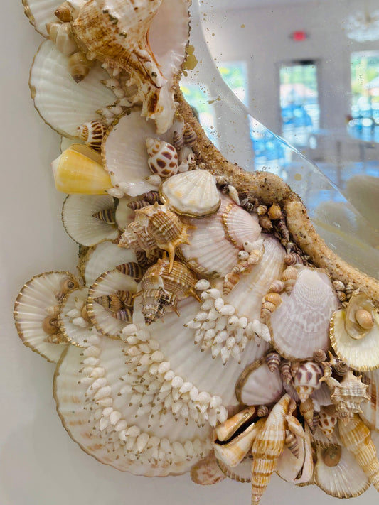 Shell Mirror