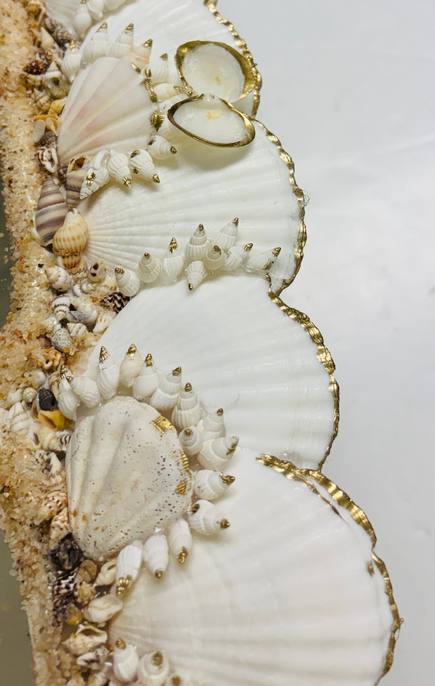 Shell Mirror