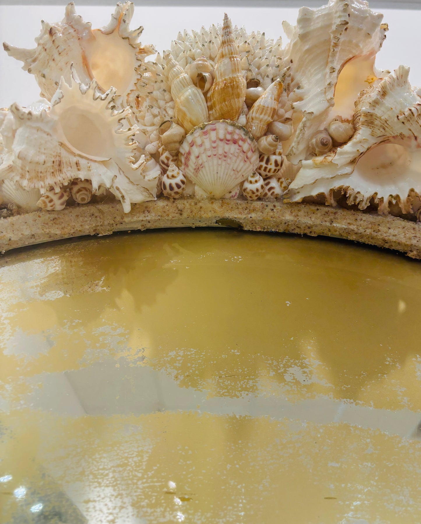 Shell Mirror