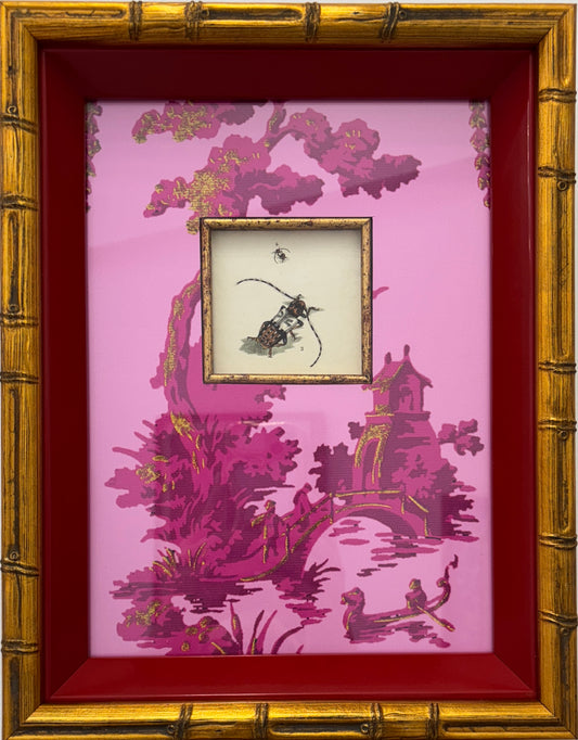 1890 French Beetle