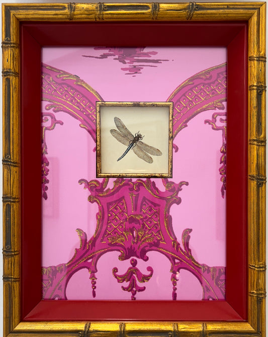 1890 French Dragonfly
