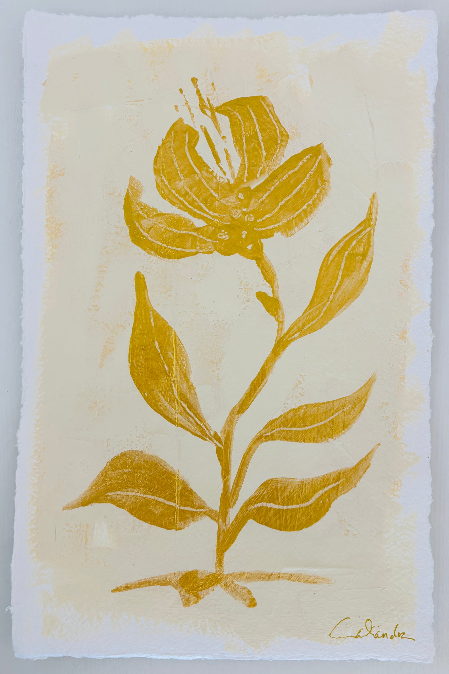 Study on Cream I
