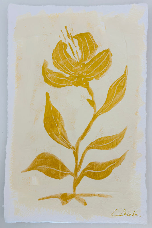 Study on Cream I