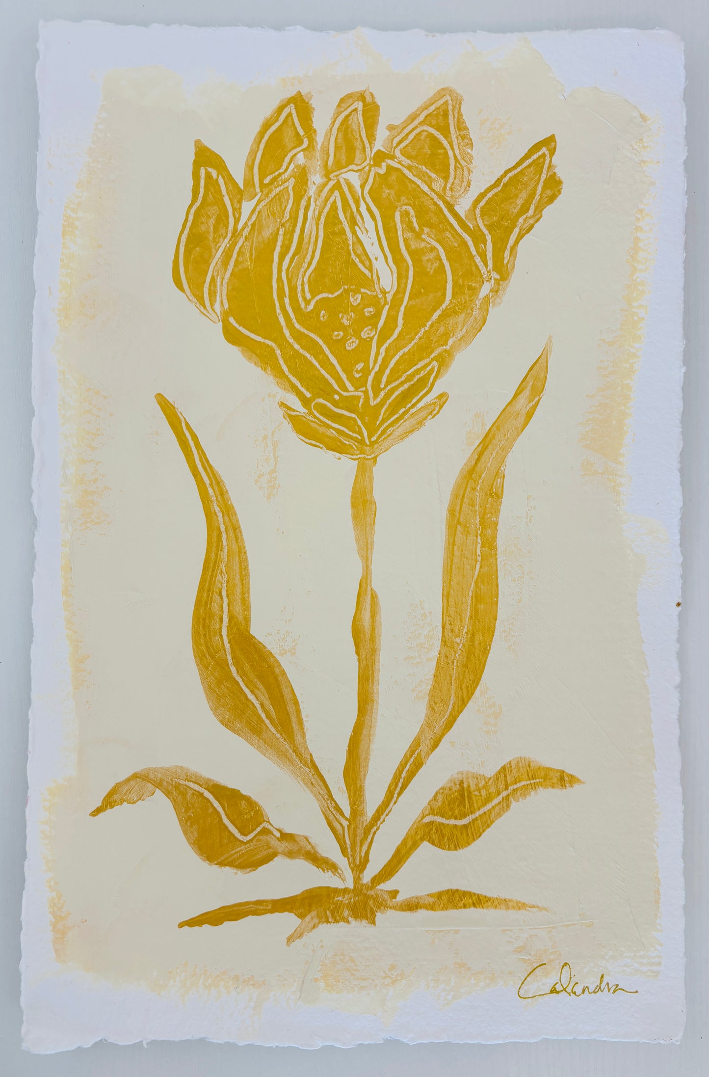 Study on Cream II